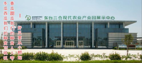 東臺市金豐園瓜果蔬菜專業合作社