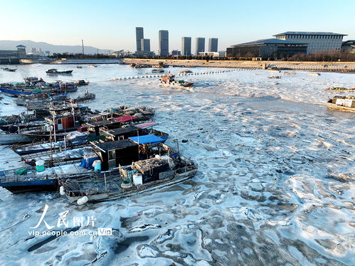 江蘇連云港強寒潮來襲，海岸現大面積冰凌奇觀